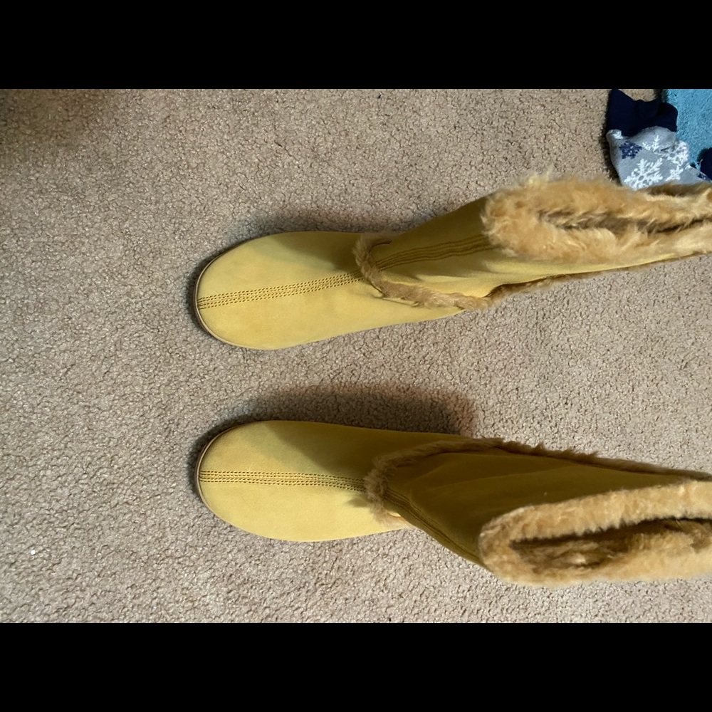 Brand new never warn timberlands